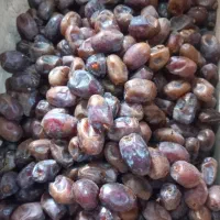 خرمای گنطار