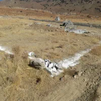 ۱۵قصب زمین سربیژن