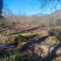 زمین-دور-تالاب-سوستان