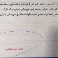 پراید 141.مدل 1388|خودرو سواری و وانت|قزوین, |دیوار