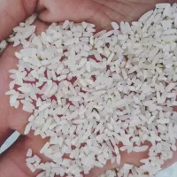 برنج نیمدونه آب چاه