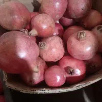 فروش انار|خوردنی و آشامیدنی|شیراز, لاله|دیوار