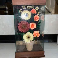 باکس گل خشک نو