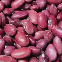 لوبیا قرمز لری ۵ تن
