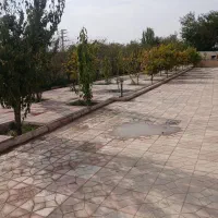زمین ۱۰۰۰متری