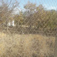 باغ گردو ۲۷۰۰متر قیمت هرمتر۱ملیون تومان|فروش زمین و ملک کلنگی|بیرانوند, |دیوار