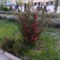 فروش-مغازه-پاساژ-وثوق
