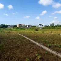 ۲۰۰متر،خیابان۱۶متری،۵۰متری برق و گاز،کلانشهر|فروش زمین و ملک کلنگی|کیاشهر, |دیوار