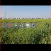 زمین کشاورزی ۸ هکتار سند ثبتی تک برگ با چاه آب