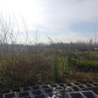 زمین-مسکونی-262-متری-سند-تک-برگ