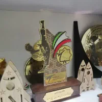 تندیس انواع رشته ورزشی