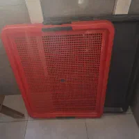 لوازم سگ|لوازم جانبی حیوانات|قم, سالاریه|دیوار