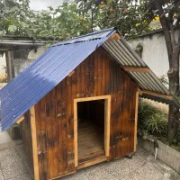 فروش کلبه چوبی سگ نوساز