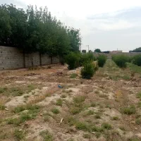 چهار-دیواری