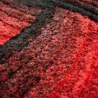 فرش شگی (پرز بلند)|فرش|ورامین, ورامین|دیوار