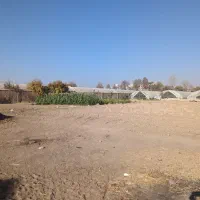 زمین و گلخانه|فروش دفتر صنعتی، کشاورزی، تجاری|پاکدشت, پاکدشت (مامازند)|دیوار