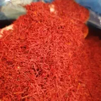 زعفران گلستان نگین بهرامن/سحرخیز/باغ گل/قائنات|گل و گیاه طبیعی|تهران, آرژانتین|دیوار