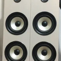 باند ایستاده