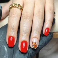 دستیار ناخن مبتدی و پیشرفته