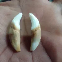 یه جفت مهره ...