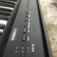 پیانو دیجیتال p125ab