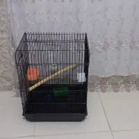 فروشی|لوازم جانبی حیوانات|سرپل ذهاب, |دیوار