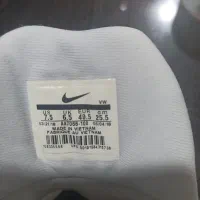 یک جفت کفش والیبال مارک نایک