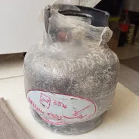 دو عدد پکنیک نو