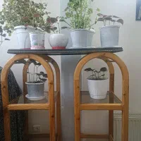 طبقه جنس چوب قدیمی|کتابخانه، شلف، قفسه‌های دیواری|گلبهار, شهر جدید گلبهار|دیوار