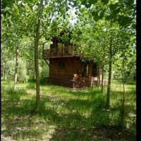 فروش ویلا با جزایر محوطه سازی شده