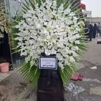 گل آرایی|گل و گیاه طبیعی|تهران, شهرک آزمایش|دیوار