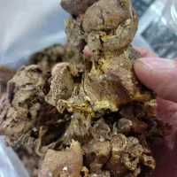 بره موم دریچه اعلا درجه یک