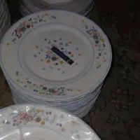 ظروف آرکوپال ویکتوریا فرانسه|ظروف سرو و پذیرایی|قم, باجک دو|دیوار