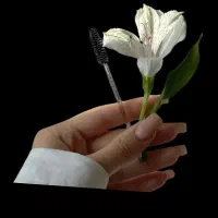 استخدام نیروی کار حرفه ایی (لوکیشن تقاطع ولی عصر)