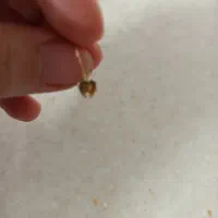 طلاگمشده|جواهرات|سبزوار, پاسداران|دیوار