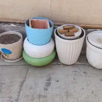 گلدان سفال|گل و گیاه طبیعی|قم, مهدیه|دیوار