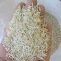 برنج رنگی سالم و نیمدانه رنگی تمیز شده