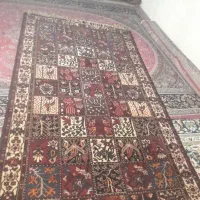 قالی بلداجی|فرش|رودشت (چهارمحال و بختیاری), |دیوار