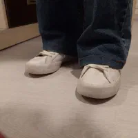 کفش نایک|کیف، کفش، کمربند|مراغه, |دیوار