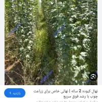 فروش باغ در چهارمحال بختیاری