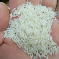 برنج دره رود