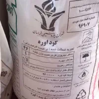 کود سفید|گل و گیاه طبیعی|بجنورد, |دیوار