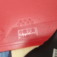 راکت پینگ پنگ تنیس|ورزش‌های توپی|اصفهان, نقش جهان|دیوار