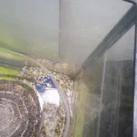 اکواریوم شرکتی مرتب وتمیز|ماهی|تربتحیدریه, منظر|دیوار