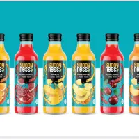 بازاریاب شرکت سانی نس