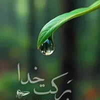 نیروی خدمات آقا و خانم