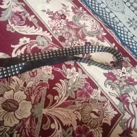کمربند بند چرم