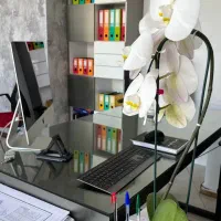 اجاره ۷۰۰متر ۳طبقه ولیعصر خیابان اصلی موقعیت یک