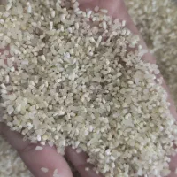 **حراج برنج ریزدانه باعطرعالی**|حراج|گلبهار, شهر جدید گلبهار|دیوار