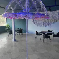 وسایل|فروشگاه و مغازه|بیرجند, |دیوار